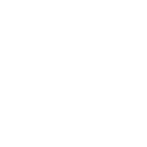 Carnavi
