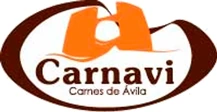 Carnavi